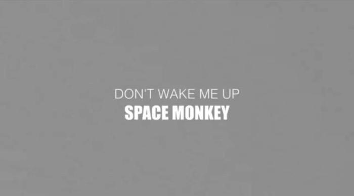 Space Monkey ♪Don’t wake me up♪