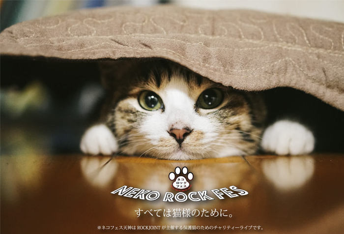 ☆ネコロックフェス天神2018☆～すべては猫様のために。～